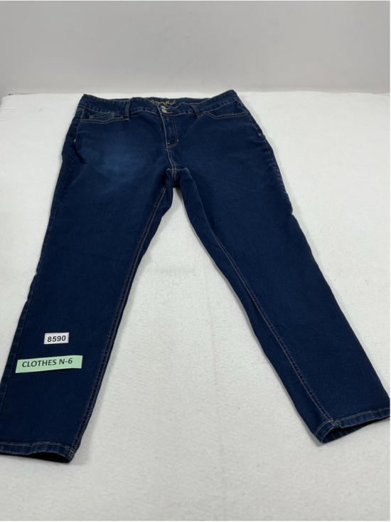 Copperflash Denim - Woman’s Excellent Condition Copper Flash Blue Jeans Ankle Skinny 20W